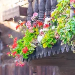 Apartamento Biohof Schmidbauer Frankenburg am Hausruck