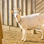 Biohof Schmidbauer Frankenburg am Hausruck