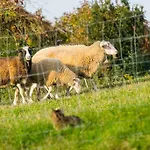 Apartamento Biohof Schmidbauer