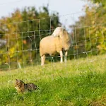 Biohof Schmidbauer Frankenburg am Hausruck