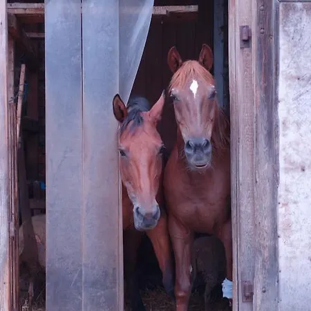 Biohof Schmidbauer 아파트 Frankenburg am Hausruck