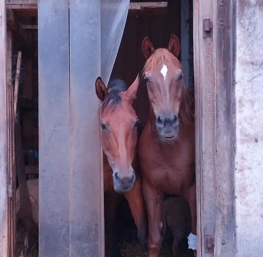 Biohof Schmidbauer Διαμέρισμα Frankenburg am Hausruck