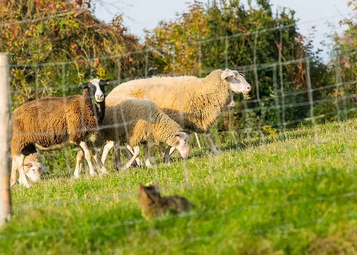 Διαμέρισμα Biohof Schmidbauer