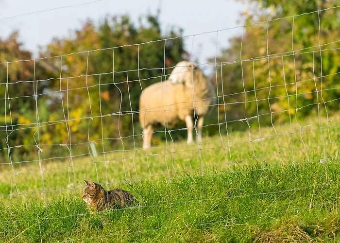 Biohof Schmidbauer Frankenburg am Hausruck