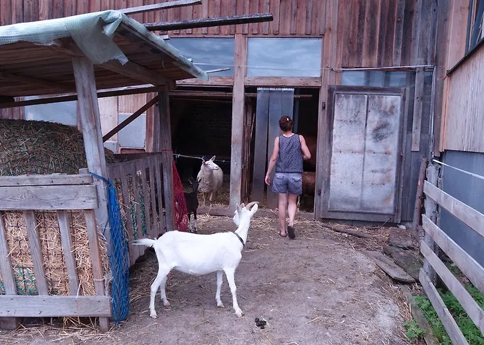 Biohof Schmidbauer Διαμέρισμα *