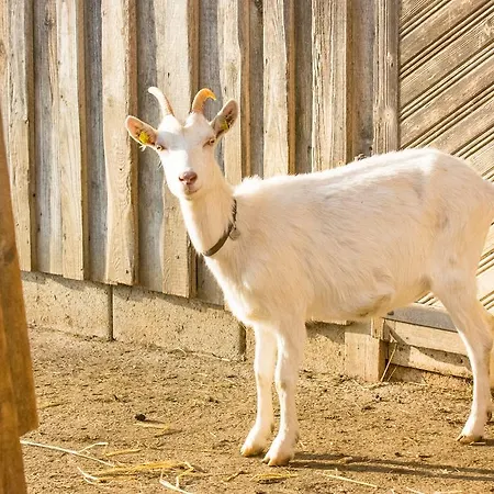 Biohof Schmidbauer Frankenburg am Hausruck