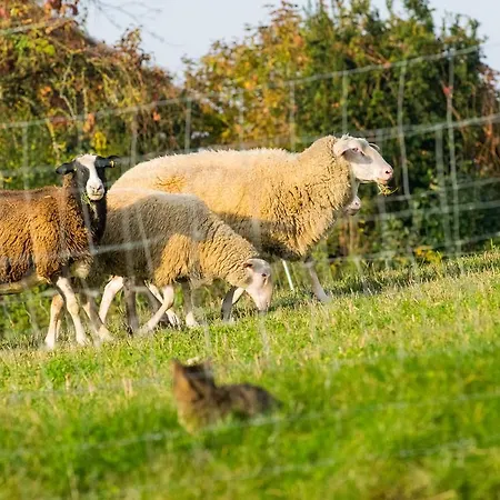 公寓 Biohof Schmidbauer