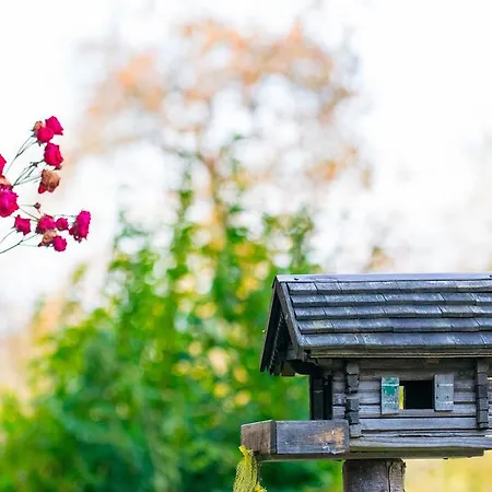 公寓 Biohof Schmidbauer