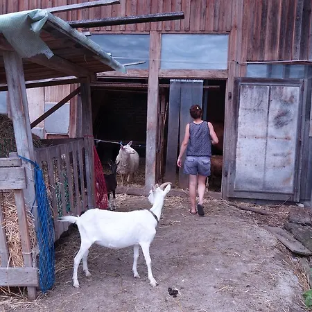 Biohof Schmidbauer 公寓 *